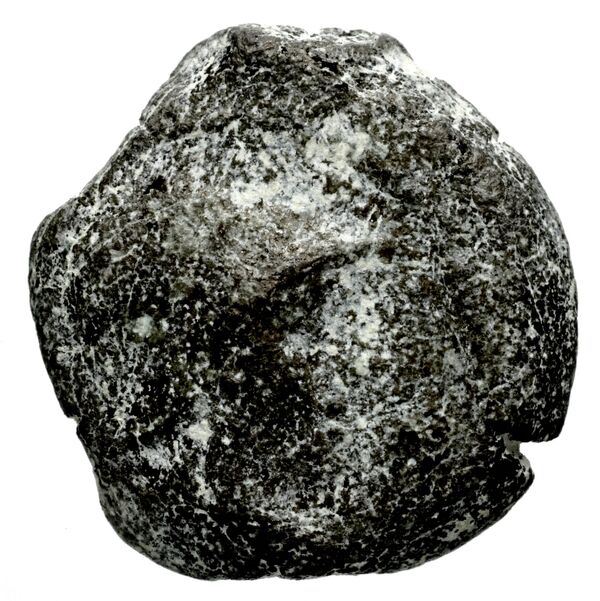 Seleucid Coins (part 2) 1347, аверс, bnf-hrc