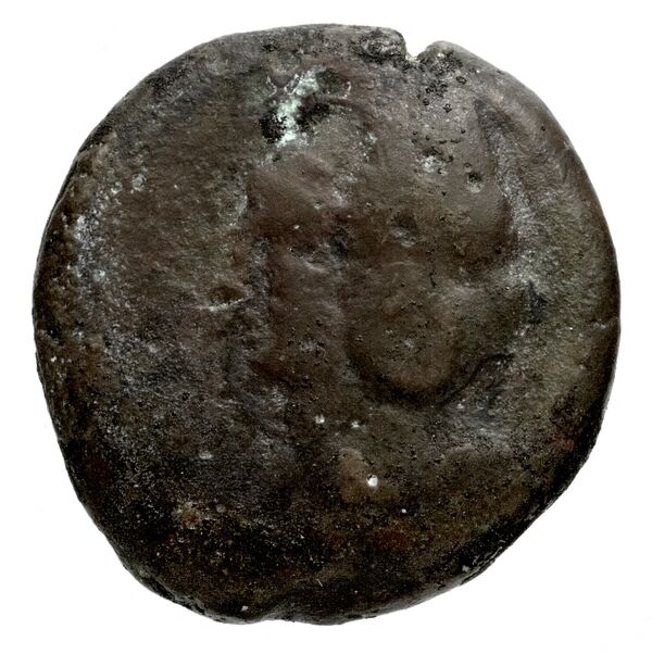 obverse Seleucid Coins (part 1) 754a