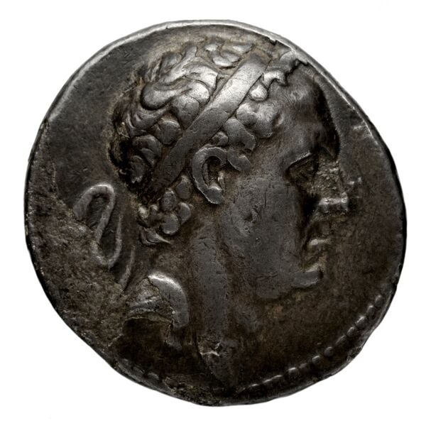 аверс Seleucid Coins (part 2) 1472a