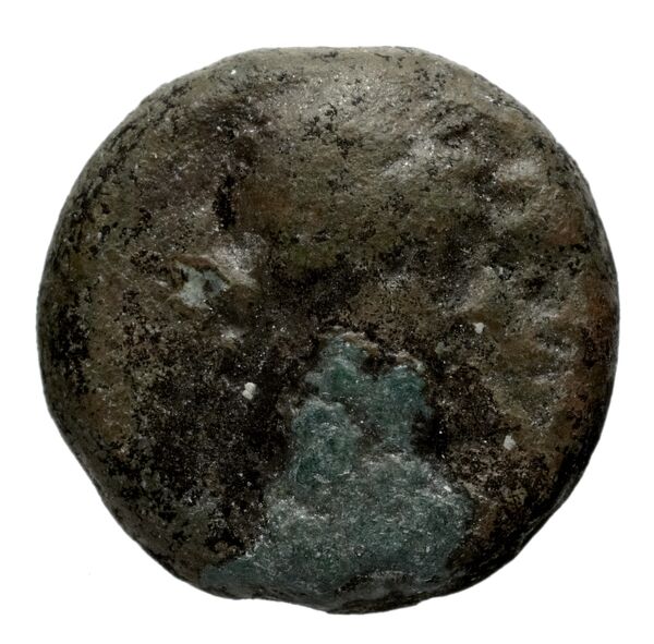 Seleucid Coins (part 2) 1349, аверс, bnf-hrc