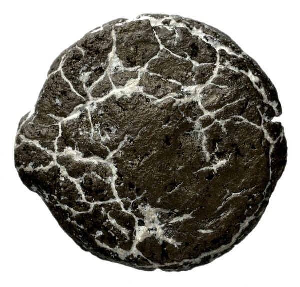Seleucid Coins (part 2) 1349, аверс, bnf-hrc