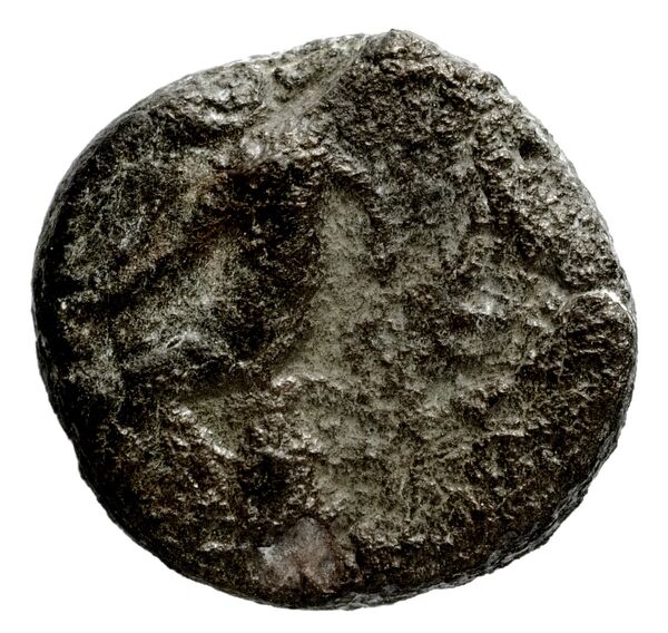 Seleucid Coins (part 1) 922, реверс, bnf-hrc