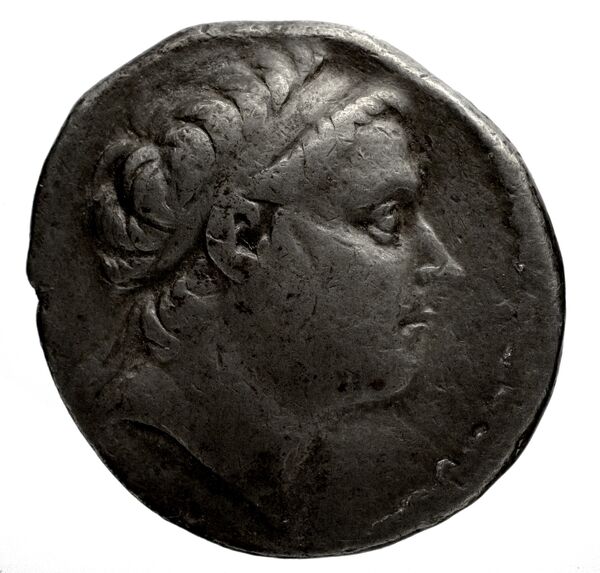 obverse Seleucid Coins (part 1) 1043.5