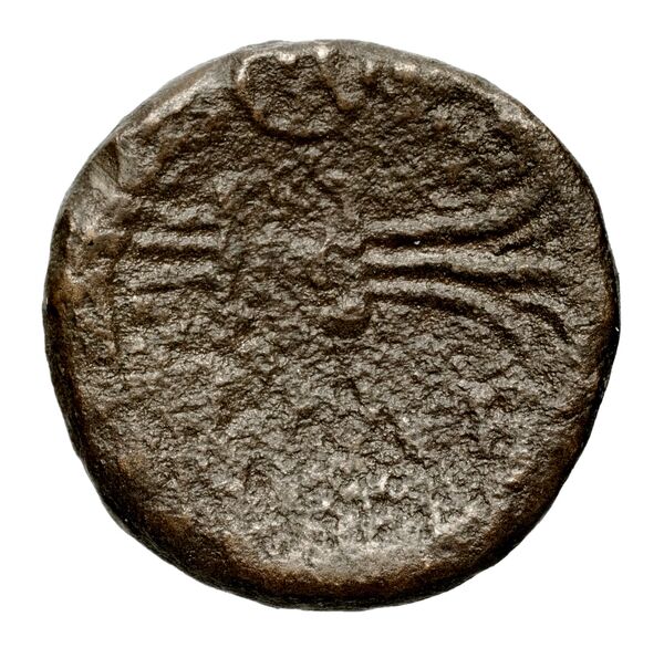 реверс Seleucid Coins (part 1) 32