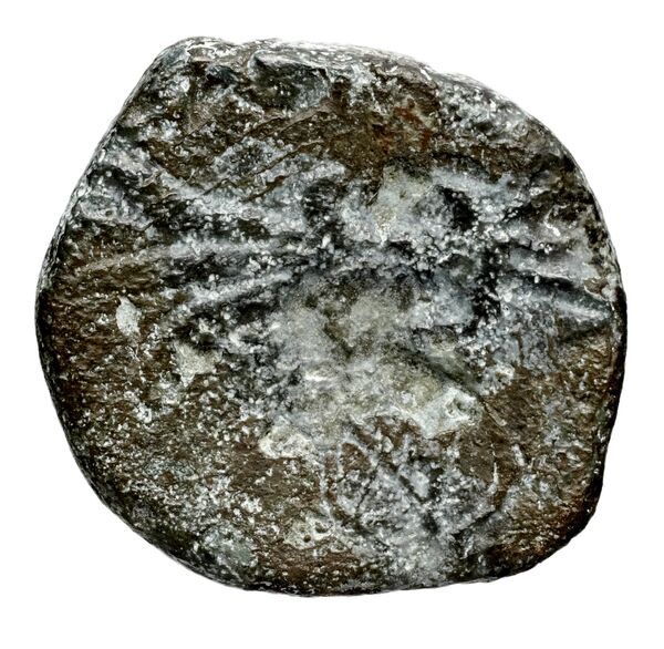 Seleucid Coins (part 1) 32, реверс, bnf-hrc