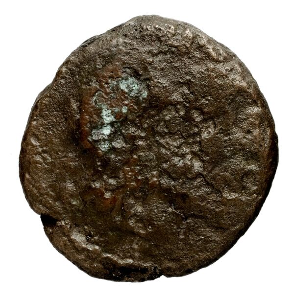 Seleucid Coins (part 1) 32, аверс, bnf-hrc