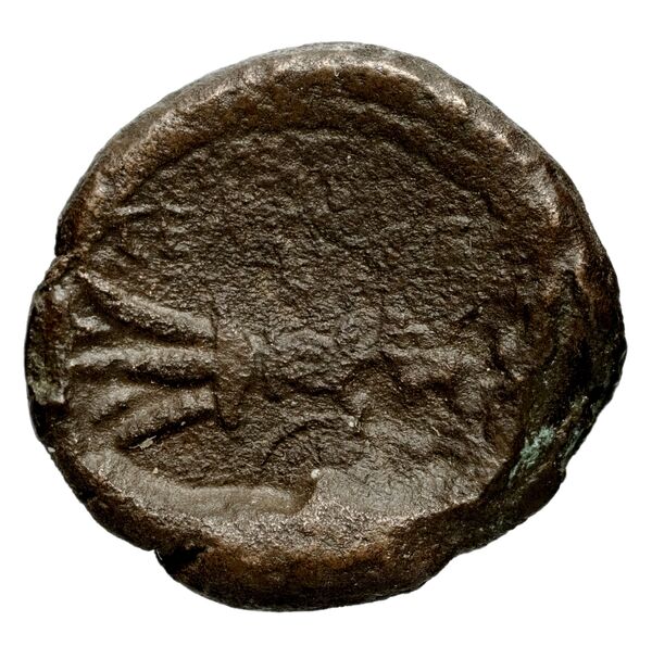 Seleucid Coins (part 1) 32, реверс, bnf-hrc