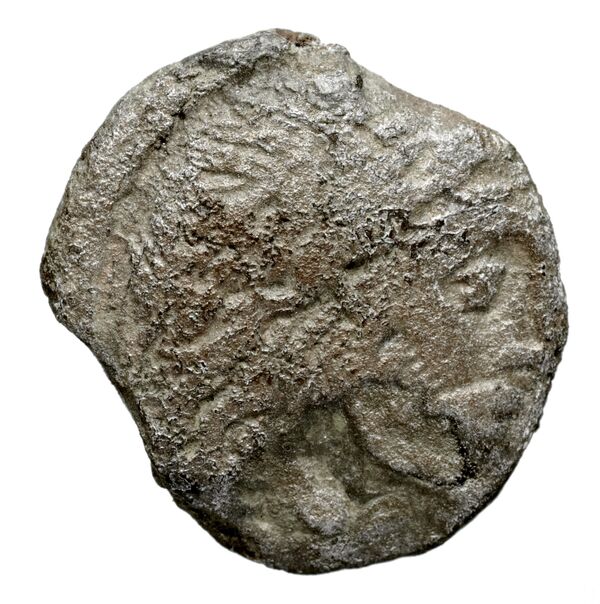Seleucid Coins (part 1) 32, аверс, bnf-hrc