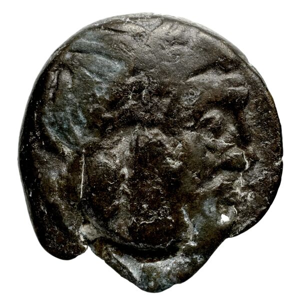 Seleucid Coins (part 1) 32, аверс, bnf-hrc