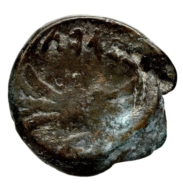 Seleucid Coins (part 1) 32, реверс, bnf-hrc