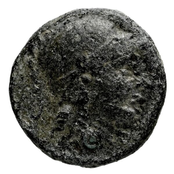 аверс Seleucid Coins (part 1) 660.1a