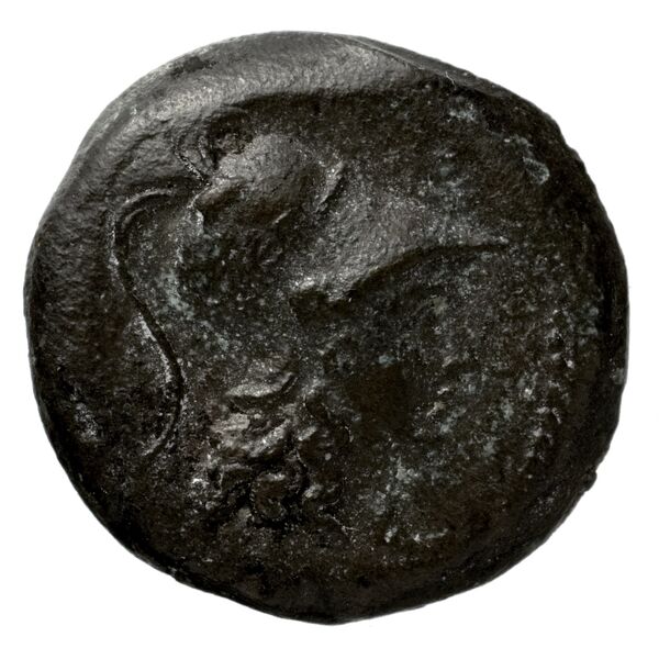 Seleucid Coins (part 2) 1532, аверс, bnf-hrc