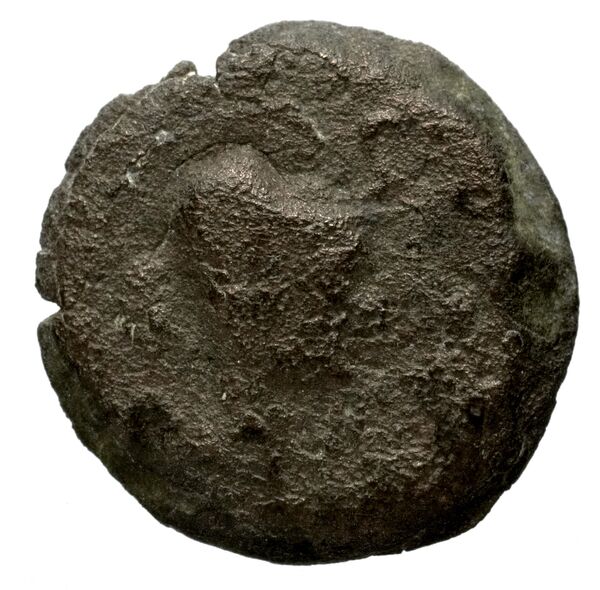 Seleucid Coins (part 2) 1533, аверс, bnf-hrc