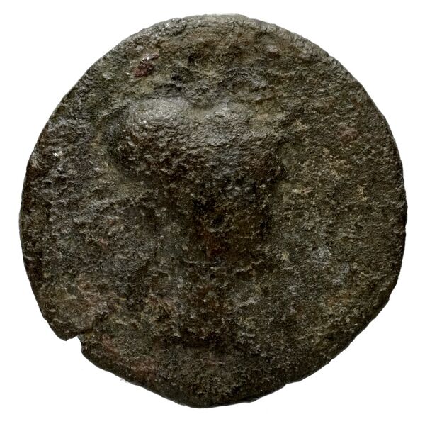Seleucid Coins (part 2) 1533, аверс, bnf-hrc