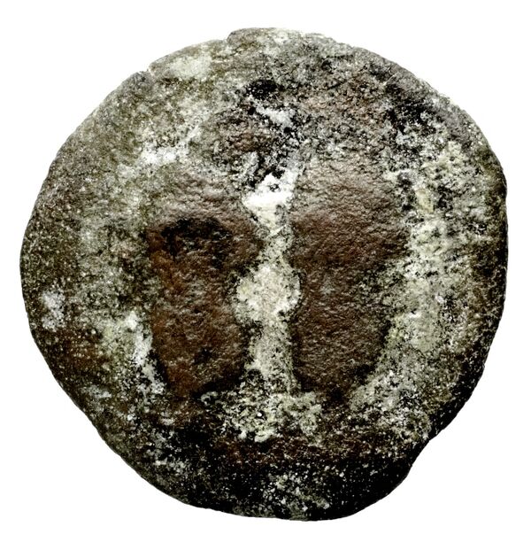 Seleucid Coins (part 1) 400, аверс, bnf-hrc