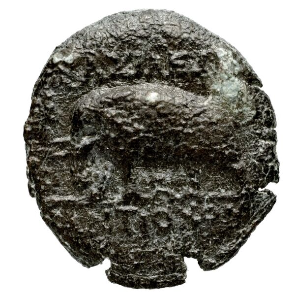 Seleucid Coins (part 1) 400.2, реверс, bnf-hrc