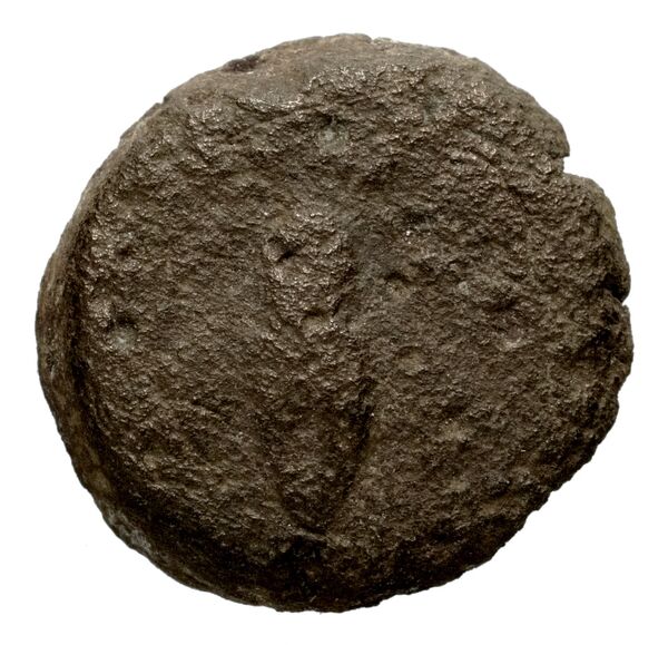 Seleucid Coins (part 2) 1536, аверс, bnf-hrc