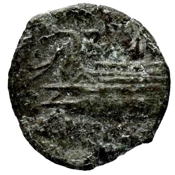 Seleucid Coins (part 2) 1527, реверс, bnf-hrc