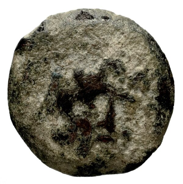 Seleucid Coins (part 2) 1527, аверс, bnf-hrc