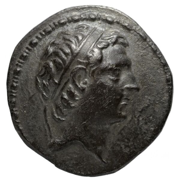 Seleucid Coins (part 2) 1711.1, аверс, bnf-hrc