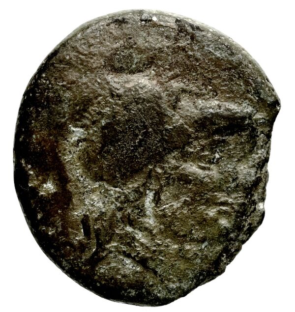Seleucid Coins (part 1) 401, аверс, bnf-hrc