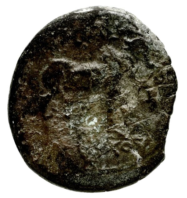 Seleucid Coins (part 1) 401, реверс, bnf-hrc
