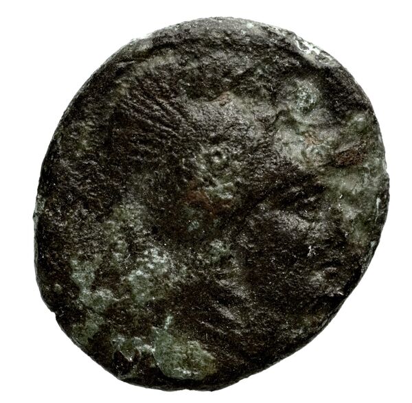 Seleucid Coins (part 1) 401, аверс, bnf-hrc