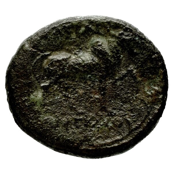 Seleucid Coins (part 1) 401, реверс, bnf-hrc