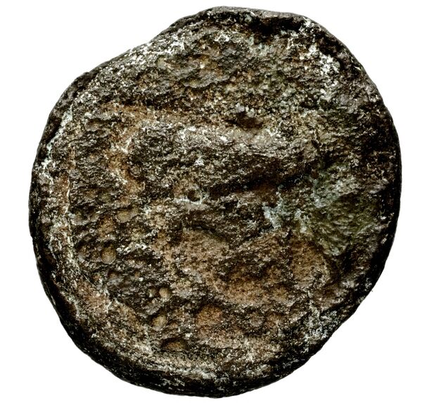 Seleucid Coins (part 1) 401, реверс, bnf-hrc