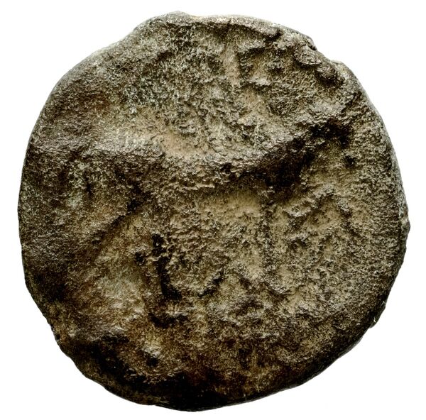 реверс Seleucid Coins (part 1) 402