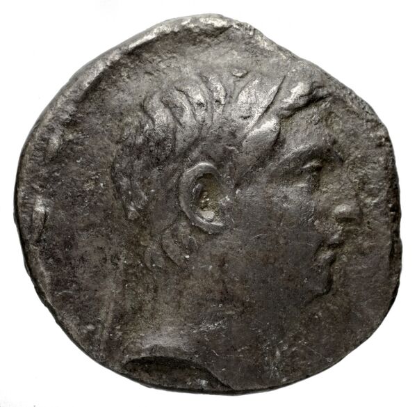 аверс Seleucid Coins (part 2) 1711.6b