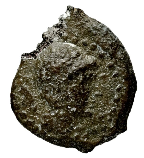 Seleucid Coins (part 2) 1712, аверс, bnf-hrc