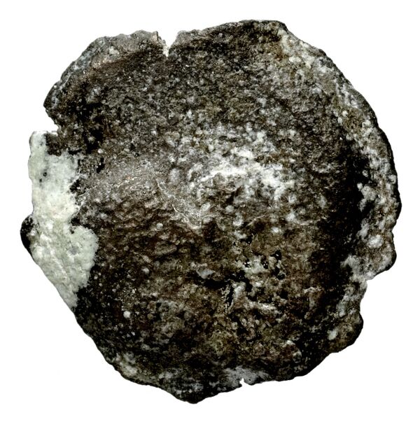 Seleucid Coins (part 2) 1712, аверс, bnf-hrc