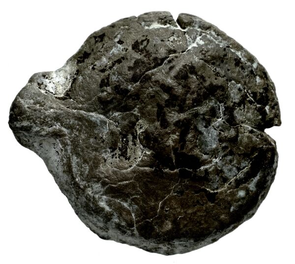 Seleucid Coins (part 2) 1712, аверс, bnf-hrc
