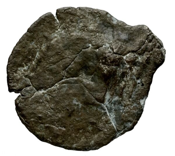 Seleucid Coins (part 2) 1712, реверс, bnf-hrc