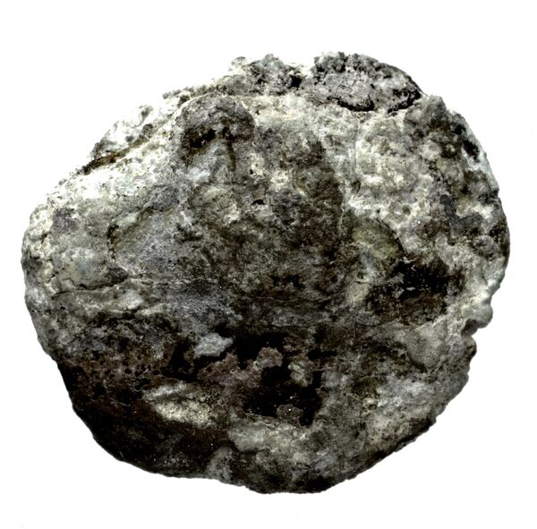 Seleucid Coins (part 2) 1712, аверс, bnf-hrc