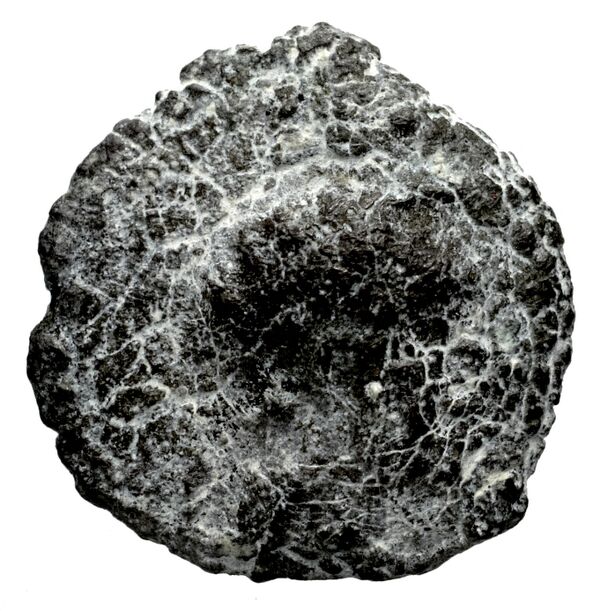Seleucid Coins (part 2) 1712, аверс, bnf-hrc