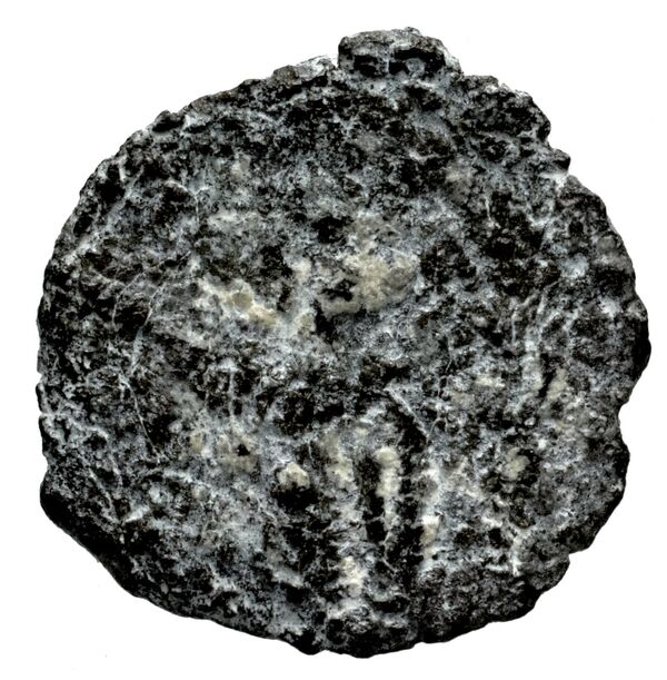 Seleucid Coins (part 2) 1712, реверс, bnf-hrc