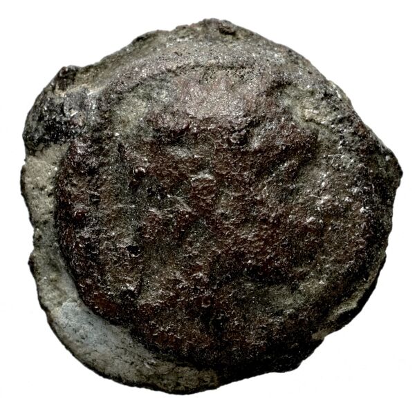 Seleucid Coins (part 2) 1712, аверс, bnf-hrc