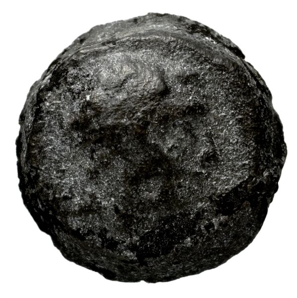 Seleucid Coins (part 2) 1712, аверс, bnf-hrc