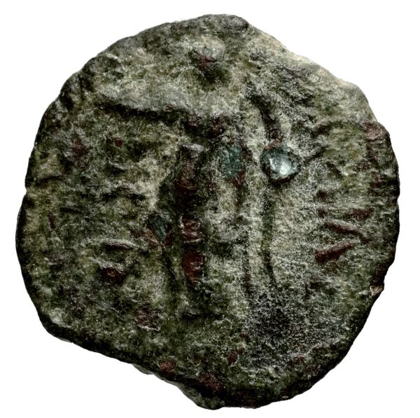 Seleucid Coins (part 2) 1712, реверс, bnf-hrc