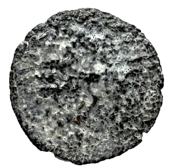 Seleucid Coins (part 2) 1713, реверс, bnf-hrc