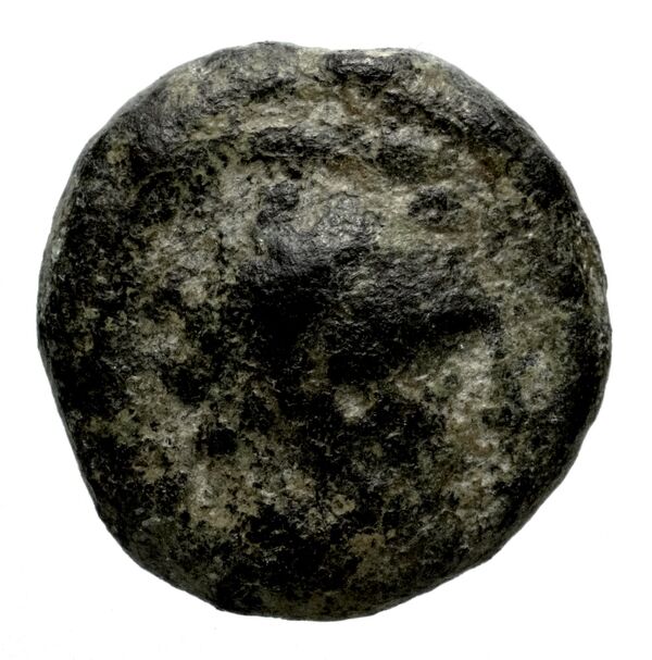 Seleucid Coins (part 2) 1713, аверс, bnf-hrc