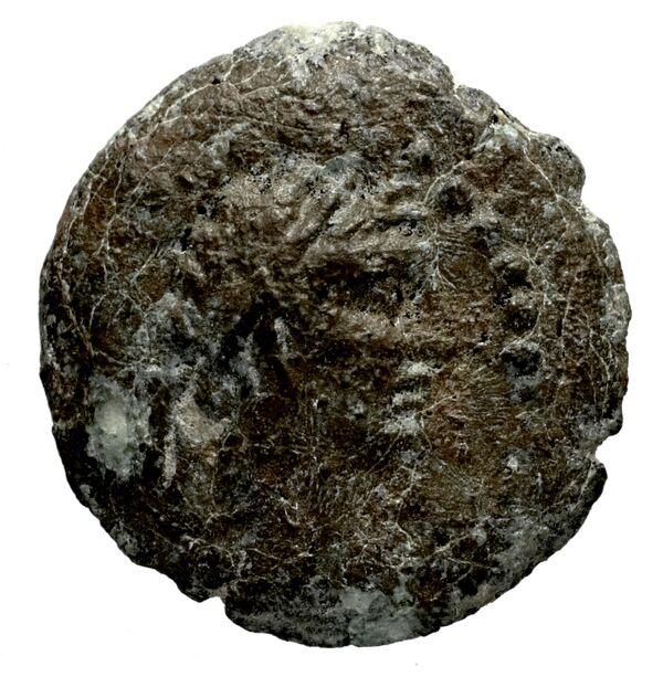 Seleucid Coins (part 2) 1714, аверс, bnf-hrc