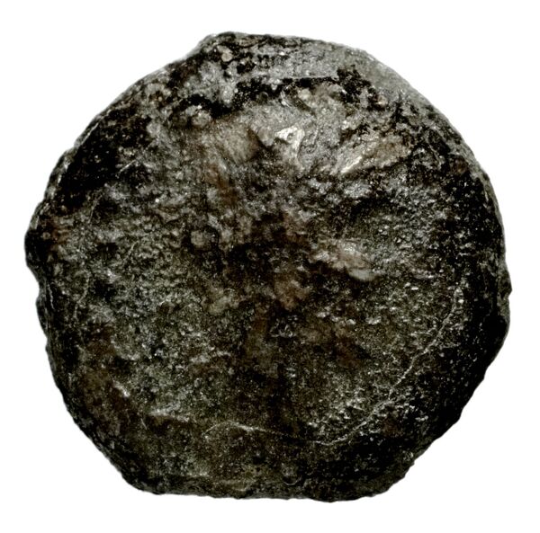 Seleucid Coins (part 2) 1714, аверс, bnf-hrc