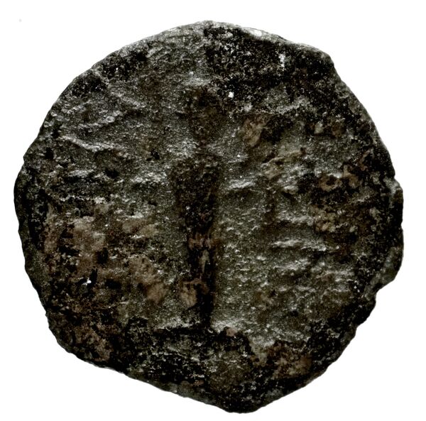 Seleucid Coins (part 2) 1714, реверс, bnf-hrc