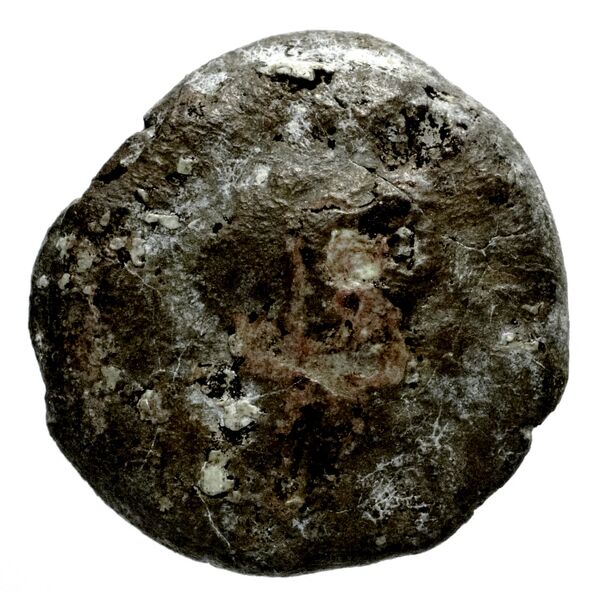Seleucid Coins (part 2) 1714, аверс, bnf-hrc
