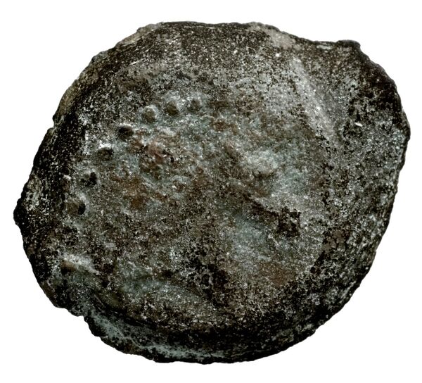 Seleucid Coins (part 2) 1715, реверс, bnf-hrc