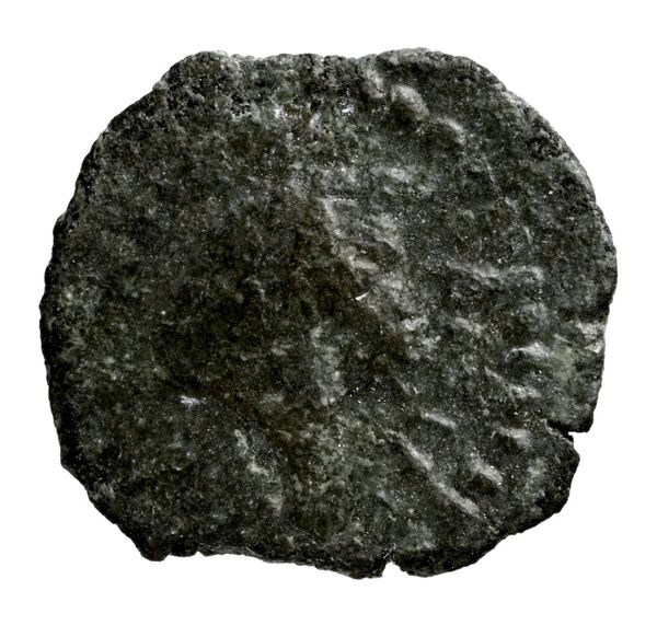 Seleucid Coins (part 2) 1715, реверс, bnf-hrc