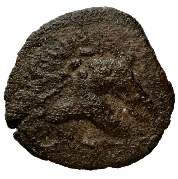 Seleucid Coins (part 2) 1715, реверс, bnf-hrc